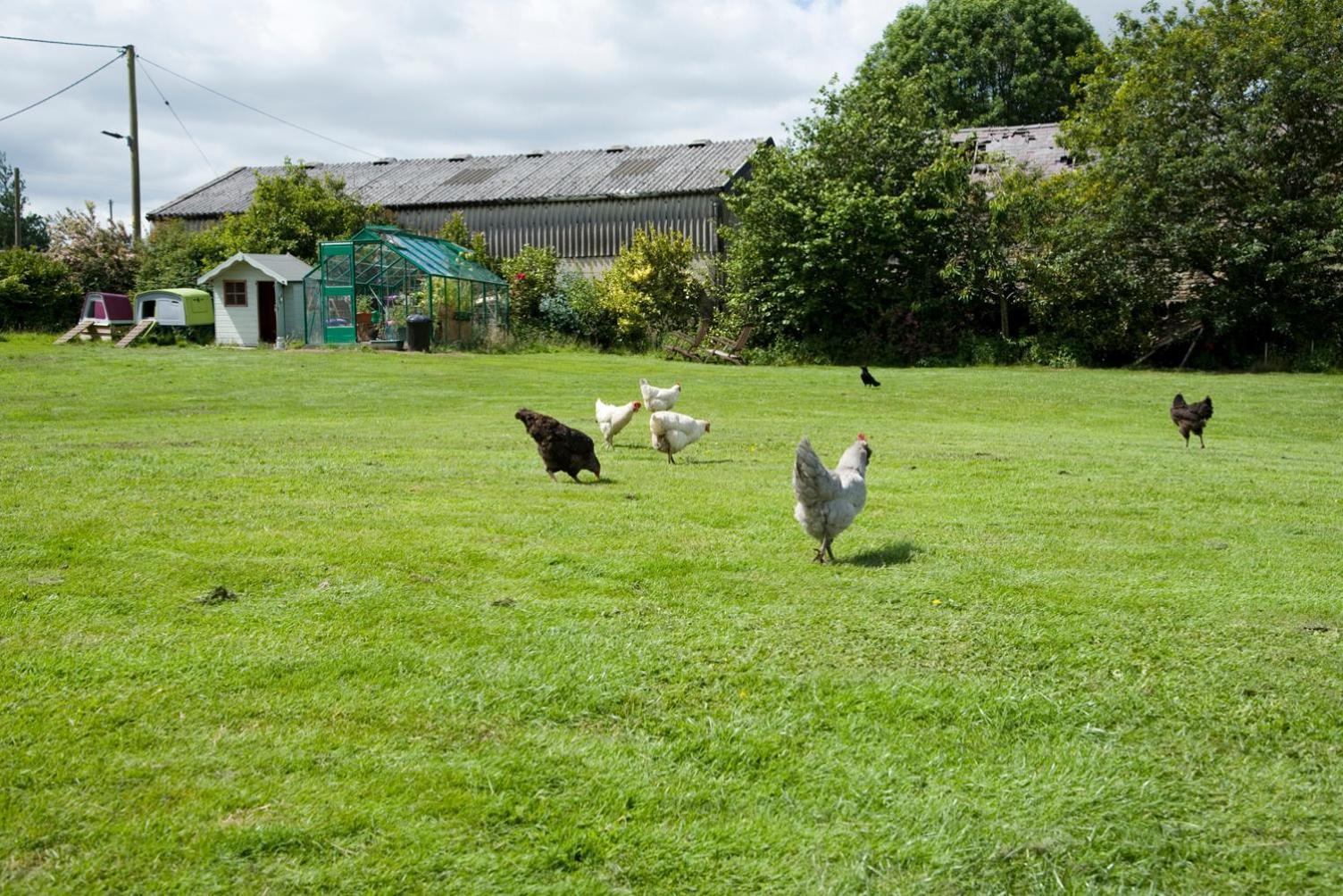 شقة Padley Farm Bradfield المظهر الخارجي الصورة