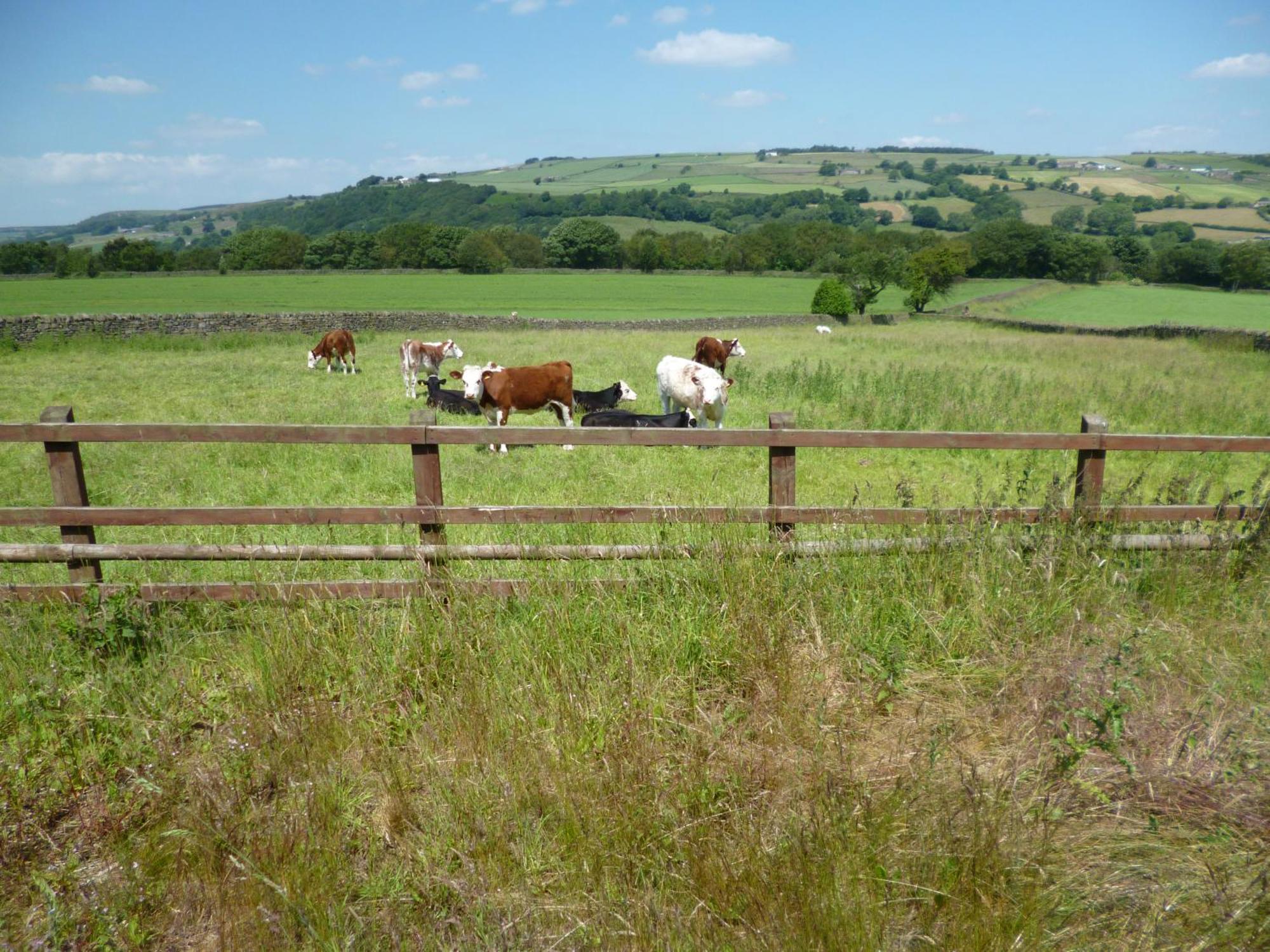 شقة Padley Farm Bradfield المظهر الخارجي الصورة