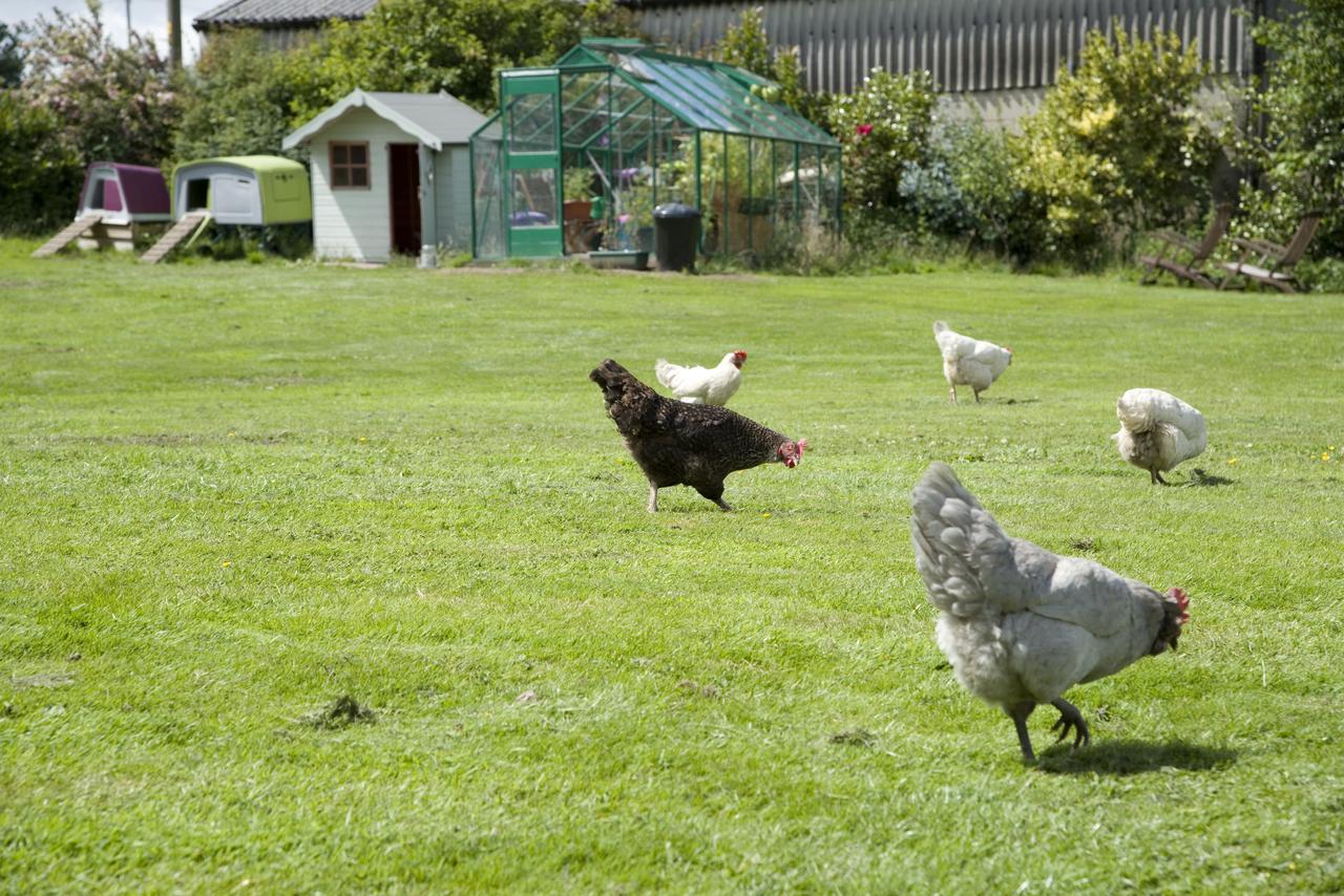 شقة Padley Farm Bradfield المظهر الخارجي الصورة